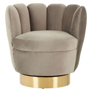 Bealie Velvet Bedroom Chair With Gold Base In Grey