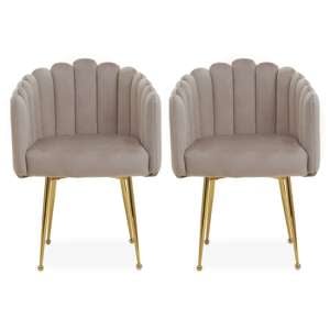 Beria Upholstered Mink Velvet Dining Chairs In A Pair