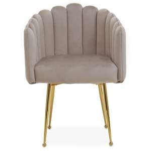 Beria Upholstered Velvet Dining Chair In Mink