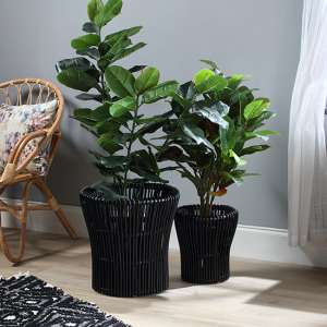 Braila Set Of 2 Rattan Plant Baskets In Black