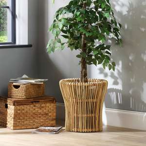 Braila Set Of 2 Rattan Plant Baskets In Natural