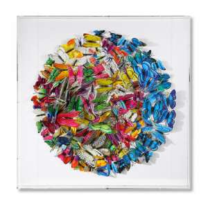 Butterfly Picture Glass Wall Art In White Wooden Frame