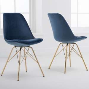 Calabash Blue Velvet Dining Chairs With Gold Legs In A Pair