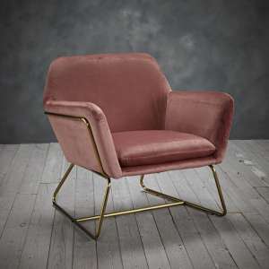 Coalville Plush Velvet Armchair In Vintage Pink With Gold Frame