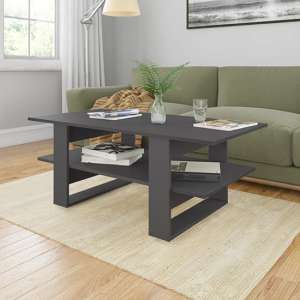 Dawid Wooden Coffee Table With Undershelf In Grey