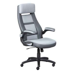 Elexo Faux Leather Home And Office Executive Chair In Dark Grey