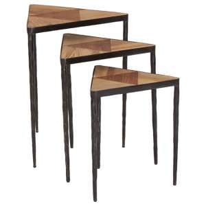 Eltro Wooden Nest Of 3 Tables With Black Metal Base In Brown