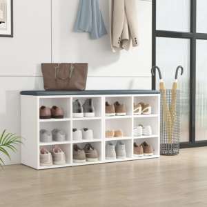 Fleta Shoe Storage Bench With 12 Shelves In White