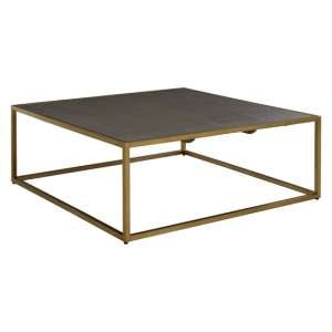 Fomalhaut Wooden Coffee Table With Gold Metal Frame In Brown