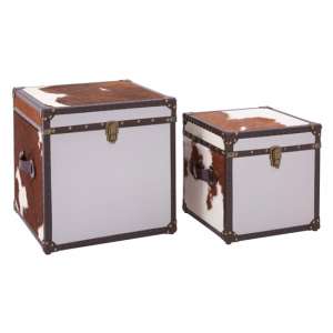Kensick Cowhide Leather Storage Trunk Set In Brown And White