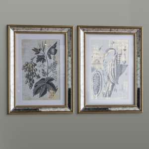 Kotzebue Botanical Studies Set of 2 Wall Art In Gold And Grey