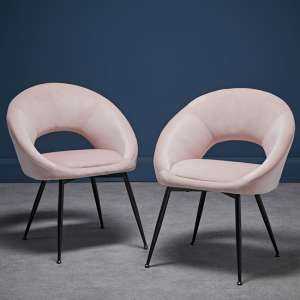 Lacee Pink Velvet Dining Chairs With Black Legs In Pair