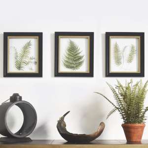 Langley Trio Framed Wall Art In Black Gold And Green