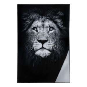 Lion Picture Acrylic Wall Art In Black And White