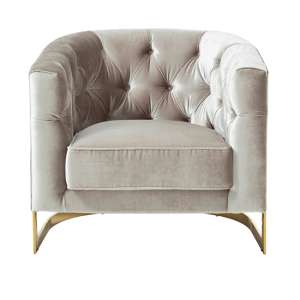 Lorman Velvet Accent Chair In Grey With Gold Frame