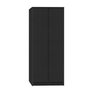Mcgowan Wooden Wardrobe With 2 Doors In Black