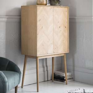 Melino Wooden Bar Cabinet With 2 Doors In Mat Lacquer