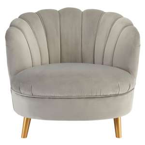 Lusitania Grey Velvet Chair With Gold Wooden Legs    