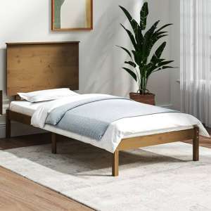 Parees Solid Pinewood Single Bed In Honey Brown