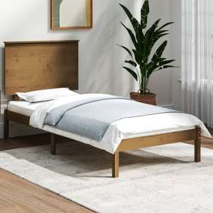 Parees Solid Pinewood Small Single Bed In Honey Brown