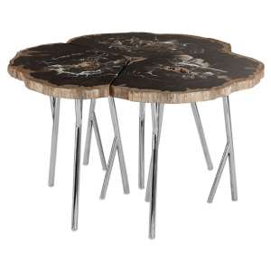 Relics Petrified Wooden Coffee Table In Black