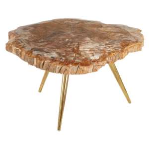 Relics Natural Petrified Wooden Coffee Table With Golden Legs