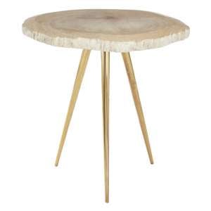 Relics Petrified Wooden Side Table With Golden Legs