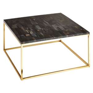 Relics Petrified Wooden Square Coffee Table With Gold Frame