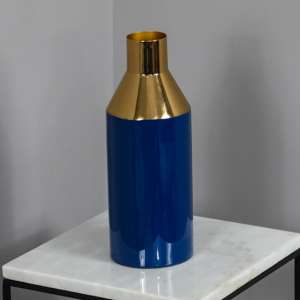 Sharon Iron Decorative Vase In Blue And Gold