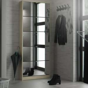 Shovy Mirrored Shoe Storage Cabinet With 5 Doors In Oak