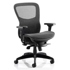 Stealth Shadow Ergo Fabric Office Chair In Black Mesh Seat
