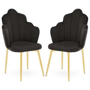 Tania Black Velvet Dining Chairs With Gold Legs In A Pair