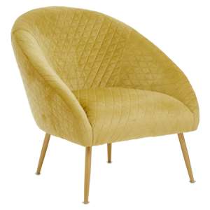 Tanya Velvet Occasional Chair With Gold Metal Legs In Gold