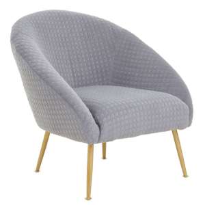 Tanya Velvet Occasional Chair With Gold Metal Legs In Grey