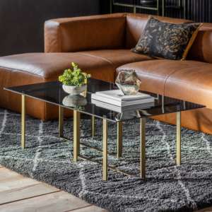 Throwla Black Glass Coffee Table With Bronze Metal Frame