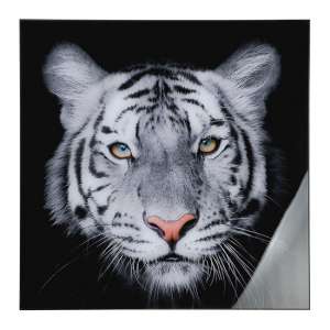 Tiger Head Picture Acrylic Wall Art In Black And White