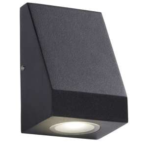 Troy LED Outdoor Wall Light In Black