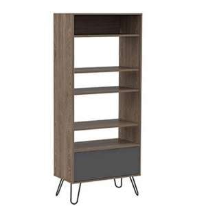 Veritate Display Bookcase In Bleached Oak and Grey With 1 Door