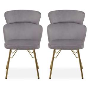Vinita Upholstered Grey Velvet Bedroom Chairs In A Pair