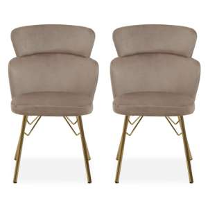 Vinita Upholstered Mink Velvet Bedroom Chairs In A Pair