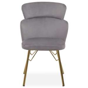 Vinita Upholstered Velvet Bedroom Chair In Grey