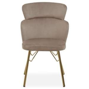 Vinita Upholstered Velvet Bedroom Chair In Mink