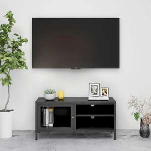 Voss Clear Glass TV Stand With 1 Door In Anthracite Frame