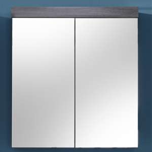 Wildon Bathroom 2 Doors Mirroed Cabinet In Smoky Silver